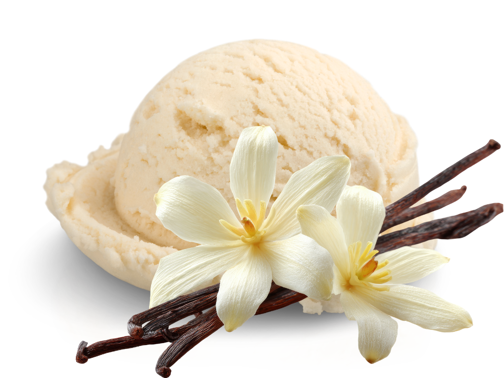 vanilla cream
